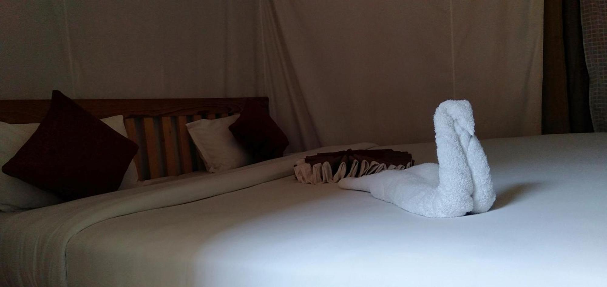 Kalash Parkaze And Tent Inn Pokhara Chambre photo